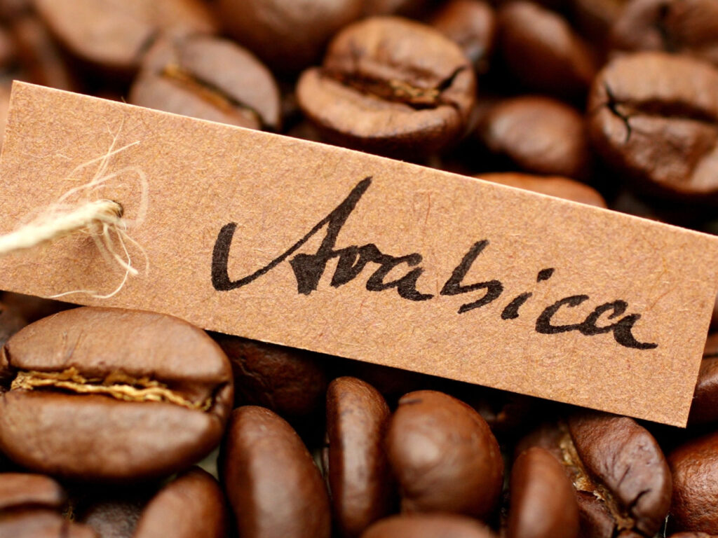 Arabica coffee in Vietnam