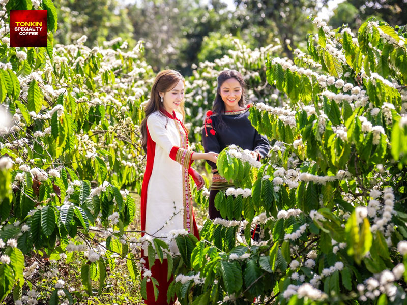 Vietnam Coffee Festival 2026