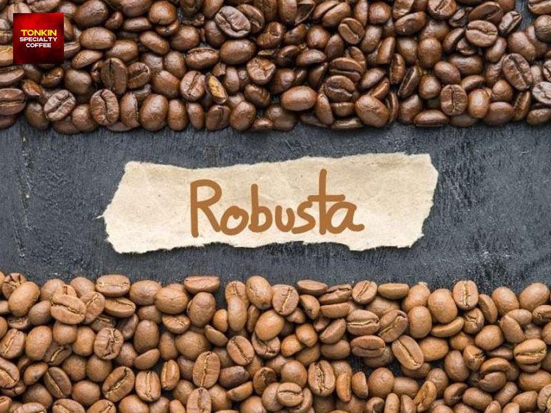 Best coffee to buy in Vietnam