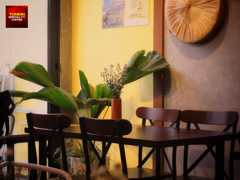 Quiet Cafes in District 1 Saigon