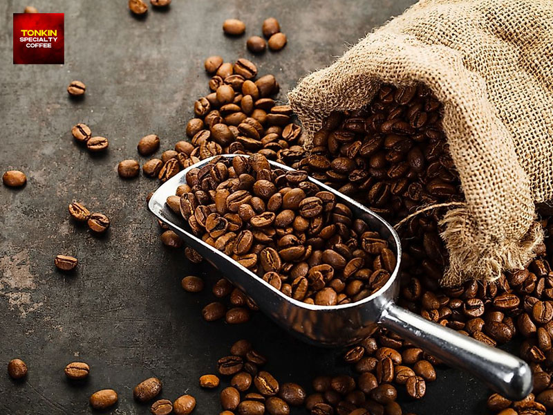 Vietnam Coffee Export Ranking