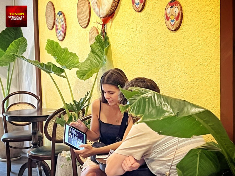 Where Is Coffee Grown in Vietnam