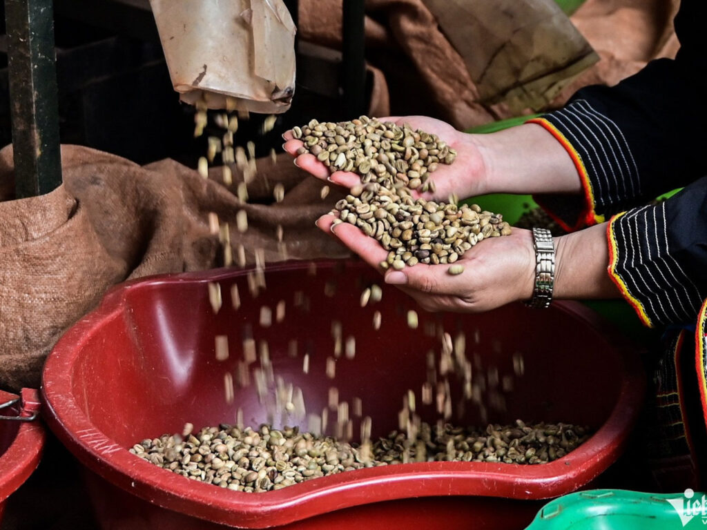Where to Buy Coffee Beans in Vietnam