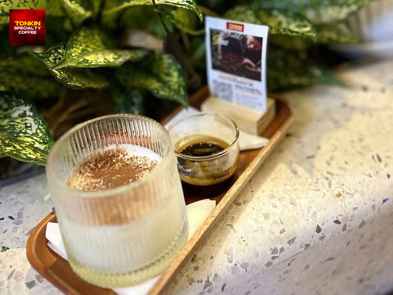 Is Robusta Coffee Stronger Than Arabica