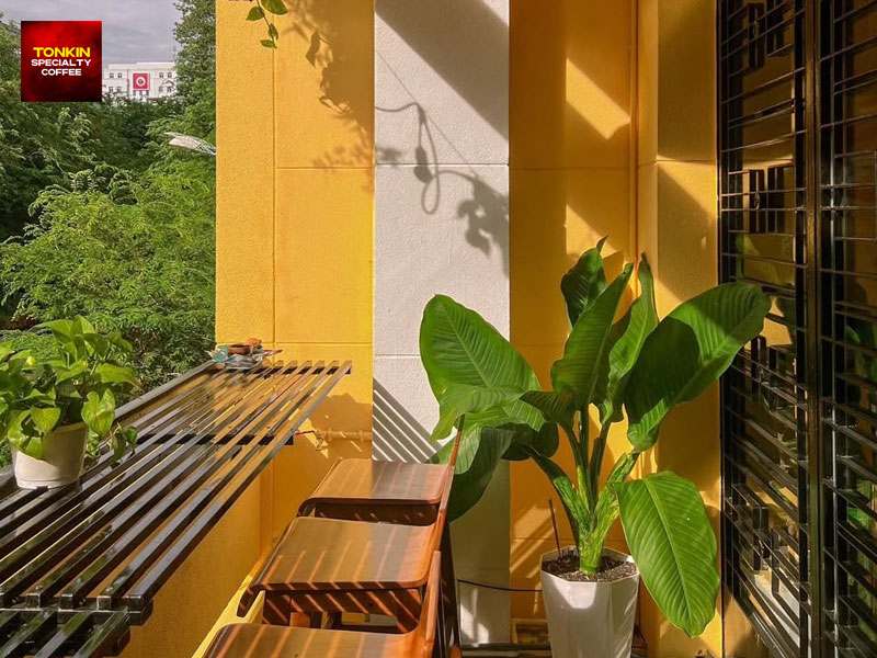 Best Coffee Near Ho Chi Minh City Museum