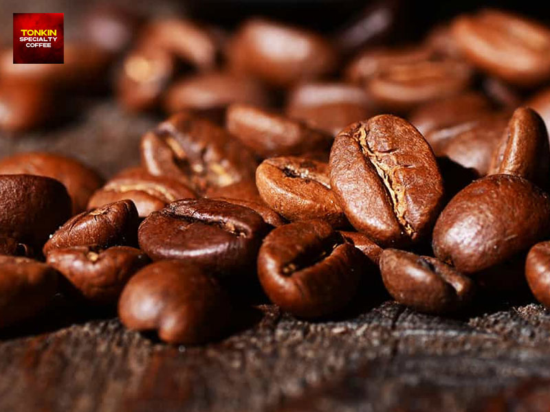 Is Son La Known for Arabica Coffee