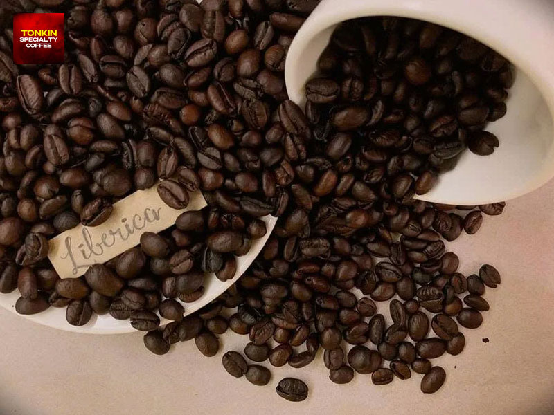 What Is Cà Phê Mít (Liberica Coffee)